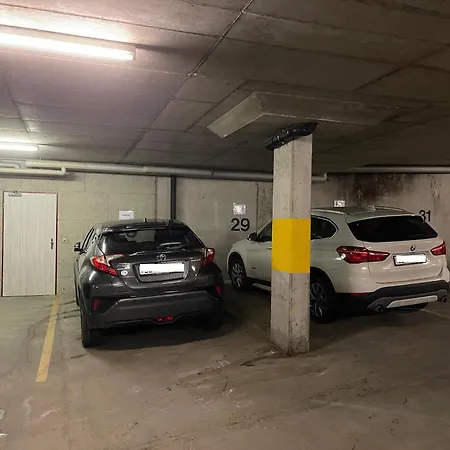 Apartment Nest - Naehe Terminal & Eiger View Grindelwald